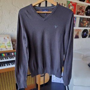 American Eagle Men's V-Neck Sweater